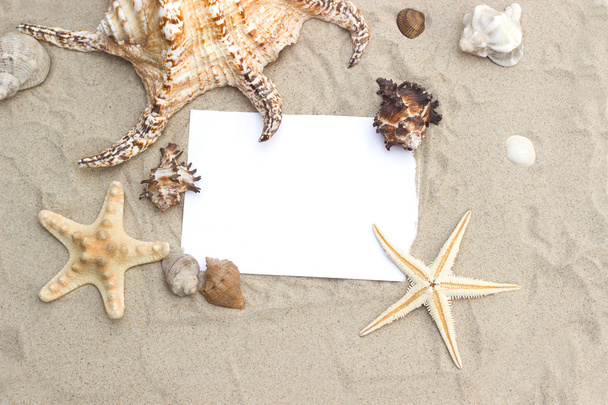  blank paper on beach sand summer starfish  - Zdjęcie, obraz