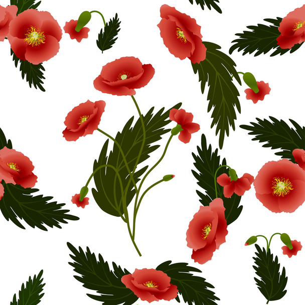 Pattern red poppies - Vector, Image