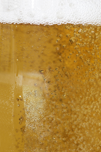 пиво в стакане - Фото, изображение