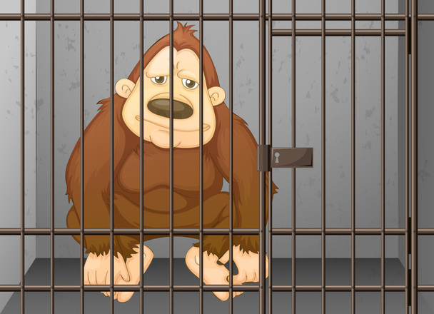 Chimpanzee being locked in the cage - Vector, Image