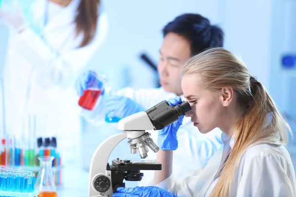 Medical technicians working in laboratory - Foto, imagen