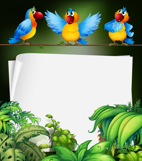 Χαρτί σχεδίασης με τρεις παπαγάλους σε κλαδί - Διάνυσμα, εικόνα
