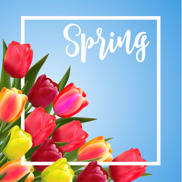 Texto de primavera con flor de tulipán
. - Vector, imagen