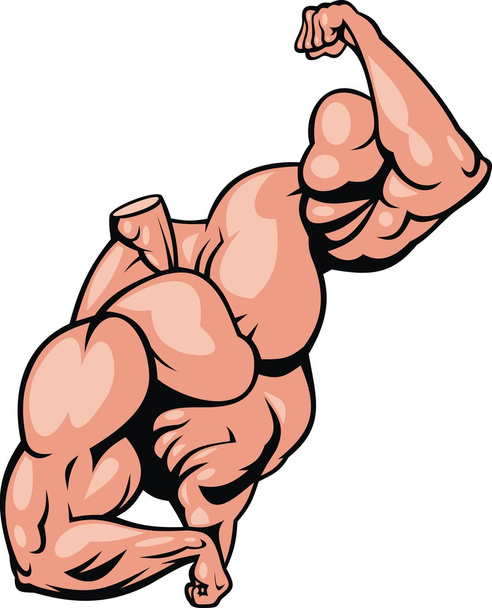 Cuerpo del músculo humano
 - Vector, Imagen