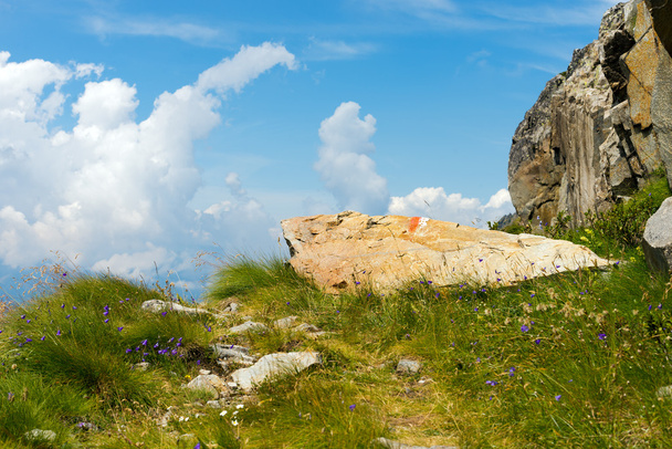 Wegweiser auf einem Felsen - Italienische Alpen - Foto, Bild