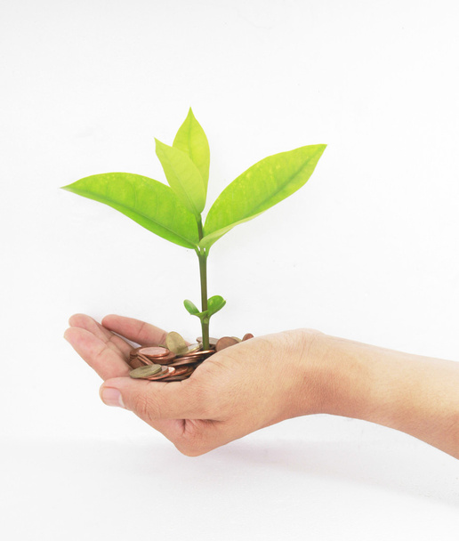 Munten met jonge plant op menselijke hand. Geld groei concept - Foto, afbeelding