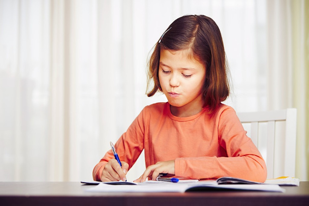 Girl is doing homework  - Foto, afbeelding