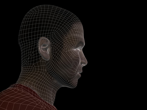 Lidská hlava z drátového modelu - Fotografie, Obrázek
