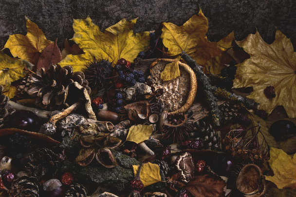 Late autumn decay - Foto, Imagen