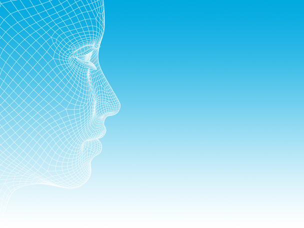 Concepto o conceptual 3D wireframe joven hombre mujer o mujer cara o cabeza sobre fondo blanco azul
 - Foto, Imagen