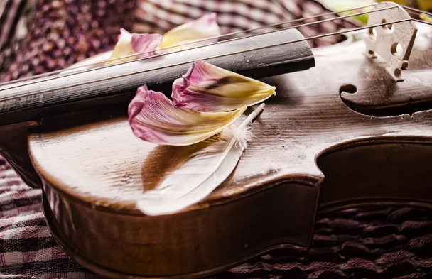Натюрморт з вінтажною скрипкою та пелюстками. Крупним планом стара дерев'яна скрипка. Струнний музичний інструмент на абстрактному фоні
 - Фото, зображення