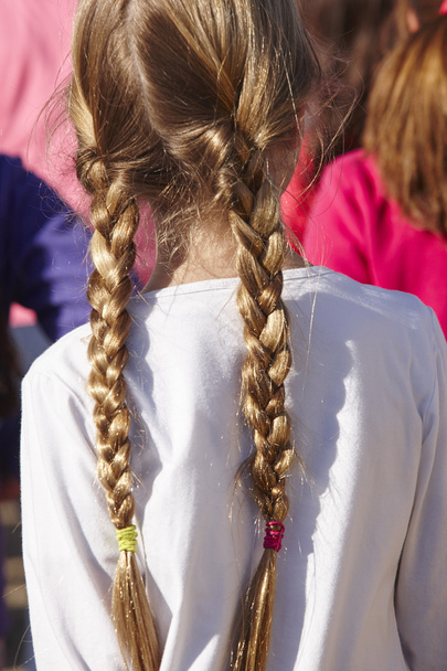 Girl with braids on her back. Outdoors - Photo, Image