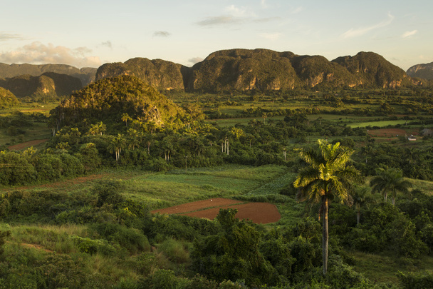 Panoramic view over landscape with mogotes in Vinales Valley ,Cu - Zdjęcie, obraz