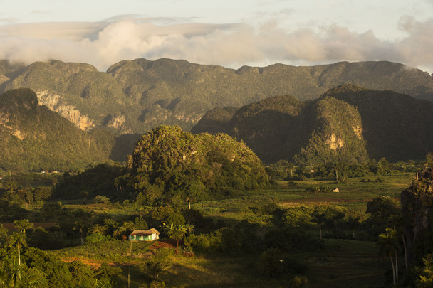 Vista panorámica del paisaje con mogotes en el Valle de Vinales, Cu
 - Foto, imagen
