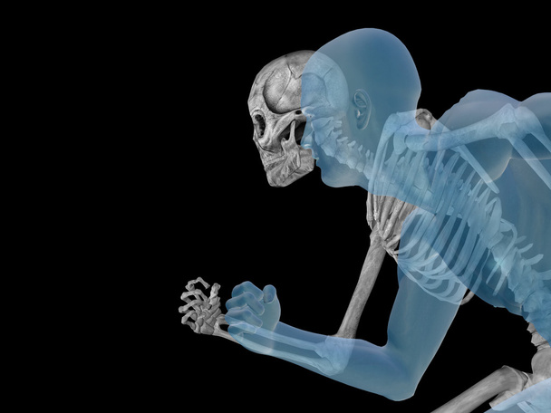 Lidské anatomie s kostmi - Fotografie, Obrázek