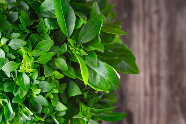 Basil leaves on a wooden background blurred - Foto, afbeelding