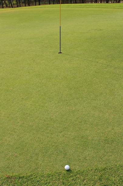 golflabda a zöld füvön - Fotó, kép
