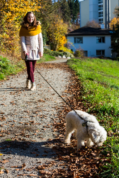 Girl with a poodle in forest - Zdjęcie, obraz
