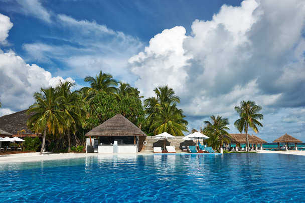 Luxus trópusi medence - Fotó, kép