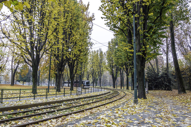 A királyi kertek Torino Villamos sínek - Fotó, kép