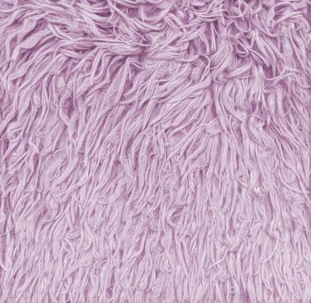 Texture de fourrure rose Close-up - Photo, image