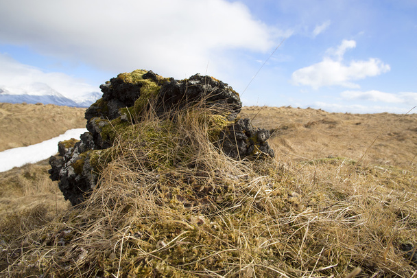 Campo en Islandia Occidental
 - Foto, Imagen