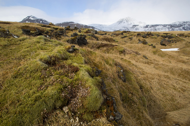 Сільській місцевості в західній Ісландії - Фото, зображення
