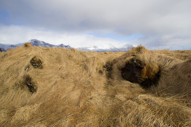 西アイスランドの田園地帯 - 写真・画像