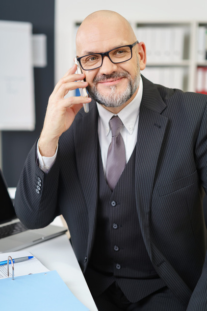 Mature Businessman Talking on Cell Phone in Office - Φωτογραφία, εικόνα