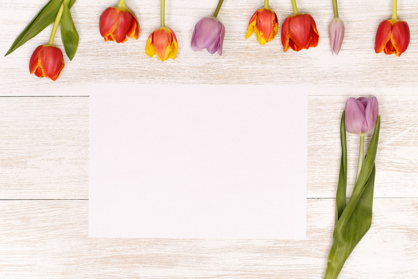 festive tulips  for greeting card - Foto, Imagem