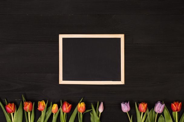 beautiful tulips and  frame - Foto, afbeelding