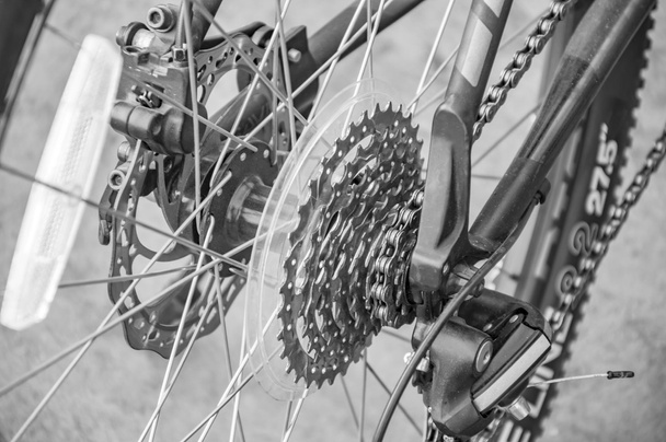 Bicylce chain and gear system - Fotoğraf, Görsel
