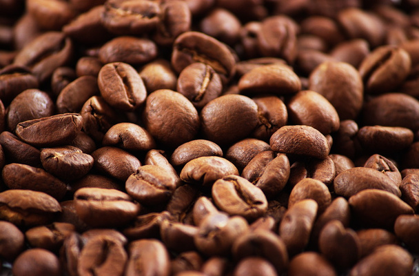 primer plano granos de café - Foto, imagen