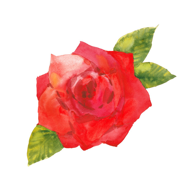 red rose watercolor - Foto, afbeelding