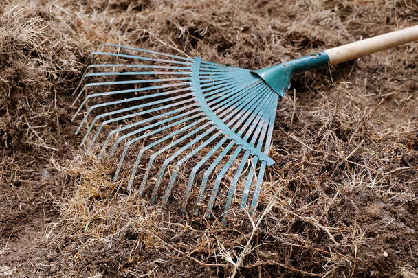 trabajos de jardinería, preparación del suelo en el jardín con rastrillo palear gr seco
 - Foto, Imagen