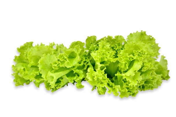 a lettuce isolated - Photo, Image