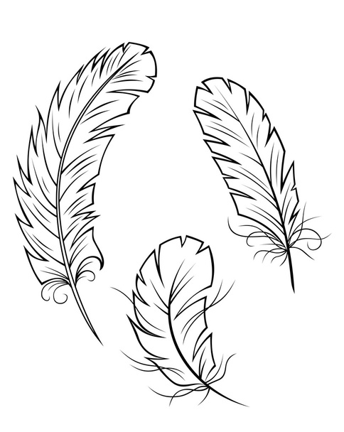 Feather pen - Vector, Image