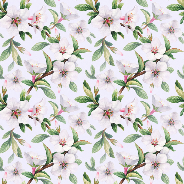 Seamless pattern with watercolor illustrations of cherry flowers - Foto, Imagem