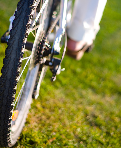 bike wheel in the forest  - Фото, изображение