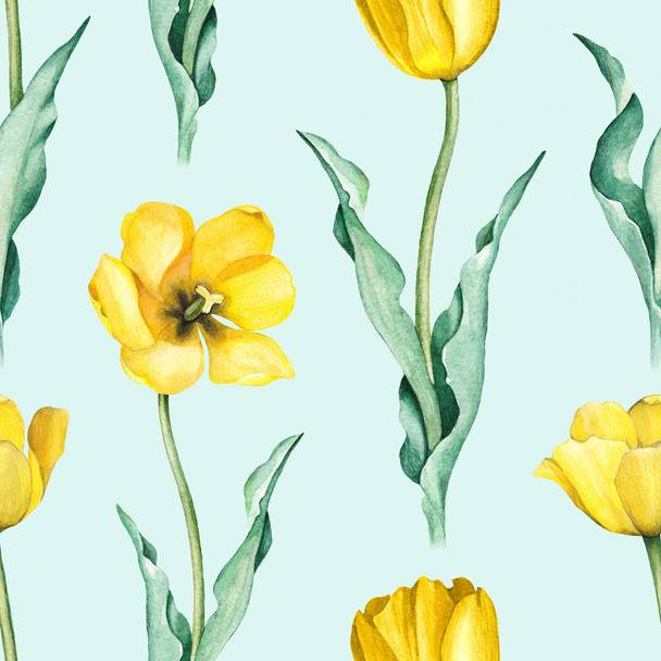 Tulip flowers. Watercolor seamless pattern - Fotoğraf, Görsel