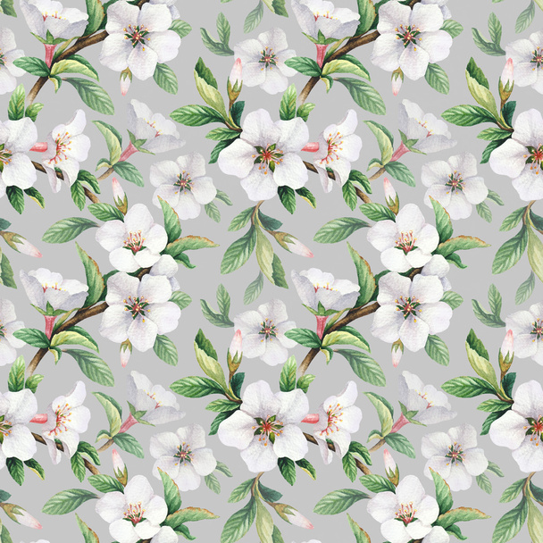 Seamless pattern with watercolor illustrations of cherry flowers - Fotoğraf, Görsel