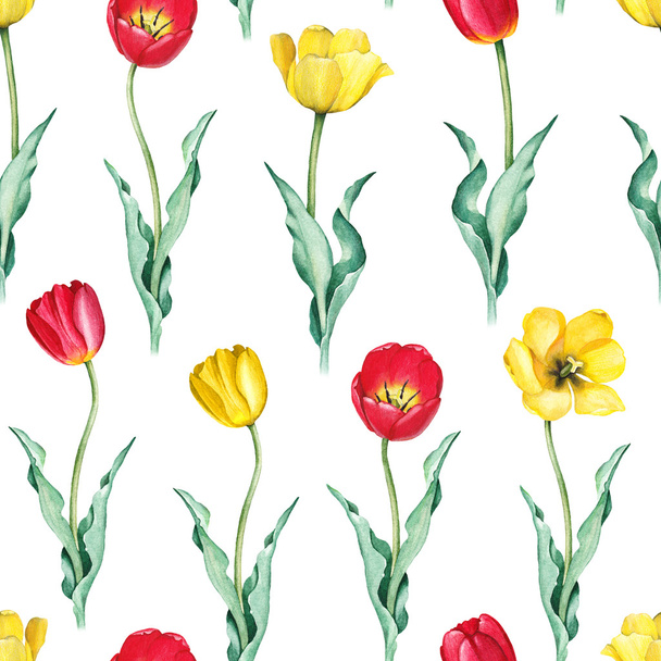 Tulip flowers. Watercolor seamless pattern - Foto, Bild