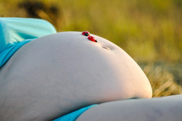 Břicho těhotné ženy - Fotografie, Obrázek