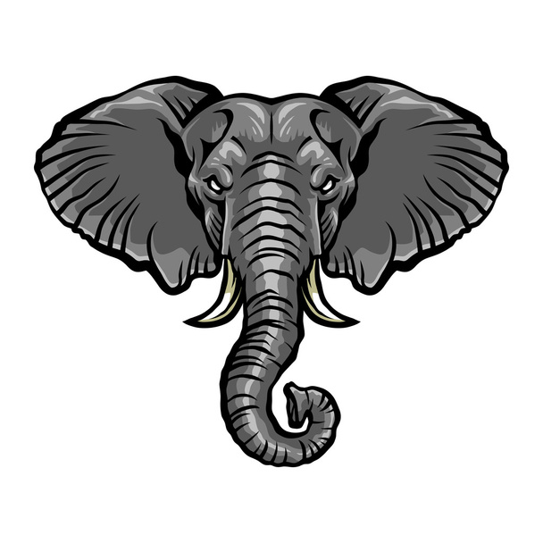 Elephant vector illustration - Vector, Image
