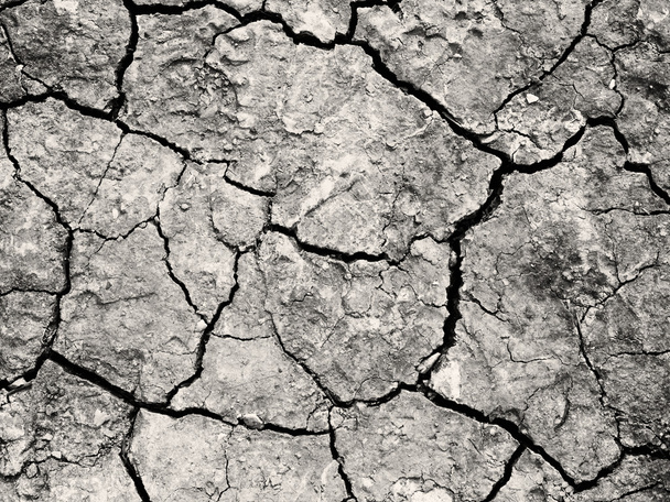 Close up do solo rachado, textura seca do solo para fundo
 - Foto, Imagem