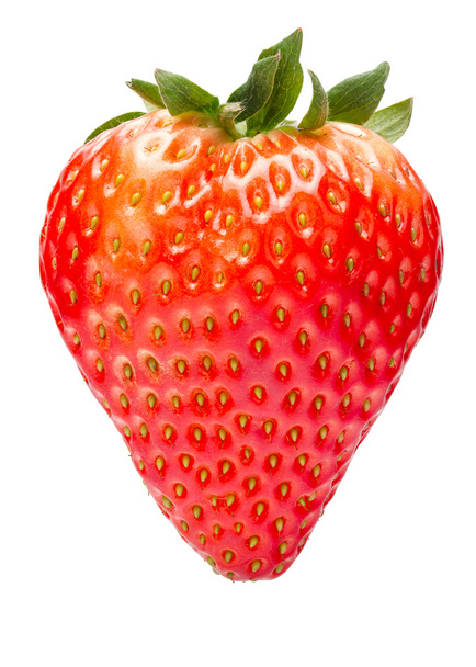 deliciosa fresa fresca
 - Foto, imagen