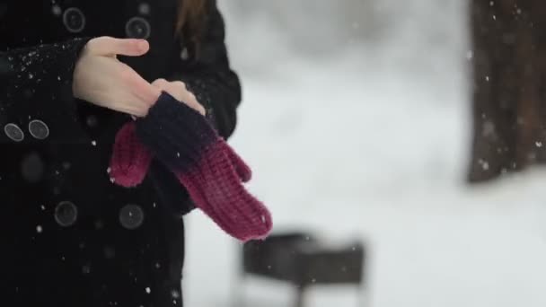 Couple in love in a snowy forest. - Video