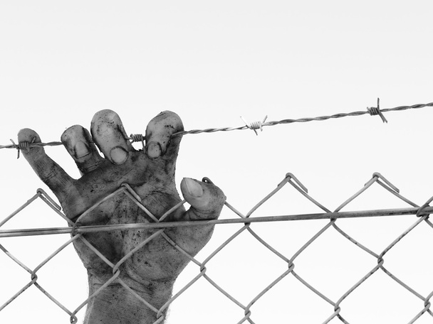 Dirty and discolored hand clinging to a steel barb wire fence, black and white - Photo, Image
