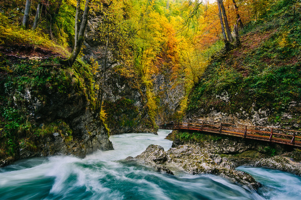 The famous Vintgar gorge Canyon with wooden pats, Bled, Triglav, Slovenia, Europe
 - Фото, изображение