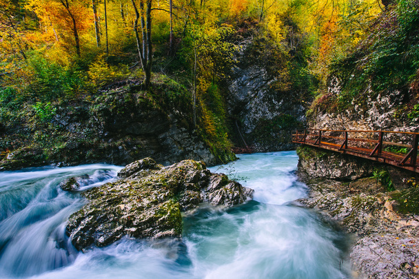 La famosa gola di Vintgar Canyon con chiazze di legno, Bled, Triglav, Slovenia, Europa
 - Foto, immagini